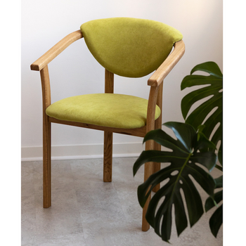 NordicStory Pack de 2 ou 4 chaises de salle à manger Alexis, structure en chêne massif, tapisserie en vert vivant